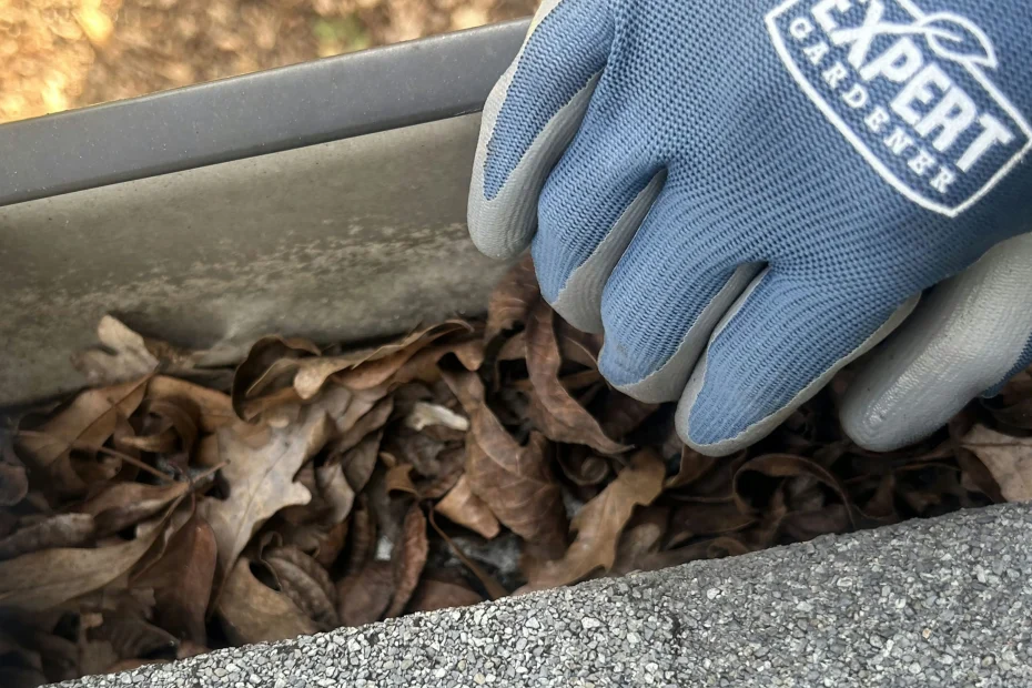 Gutter Cleaning Hazelwood, MO